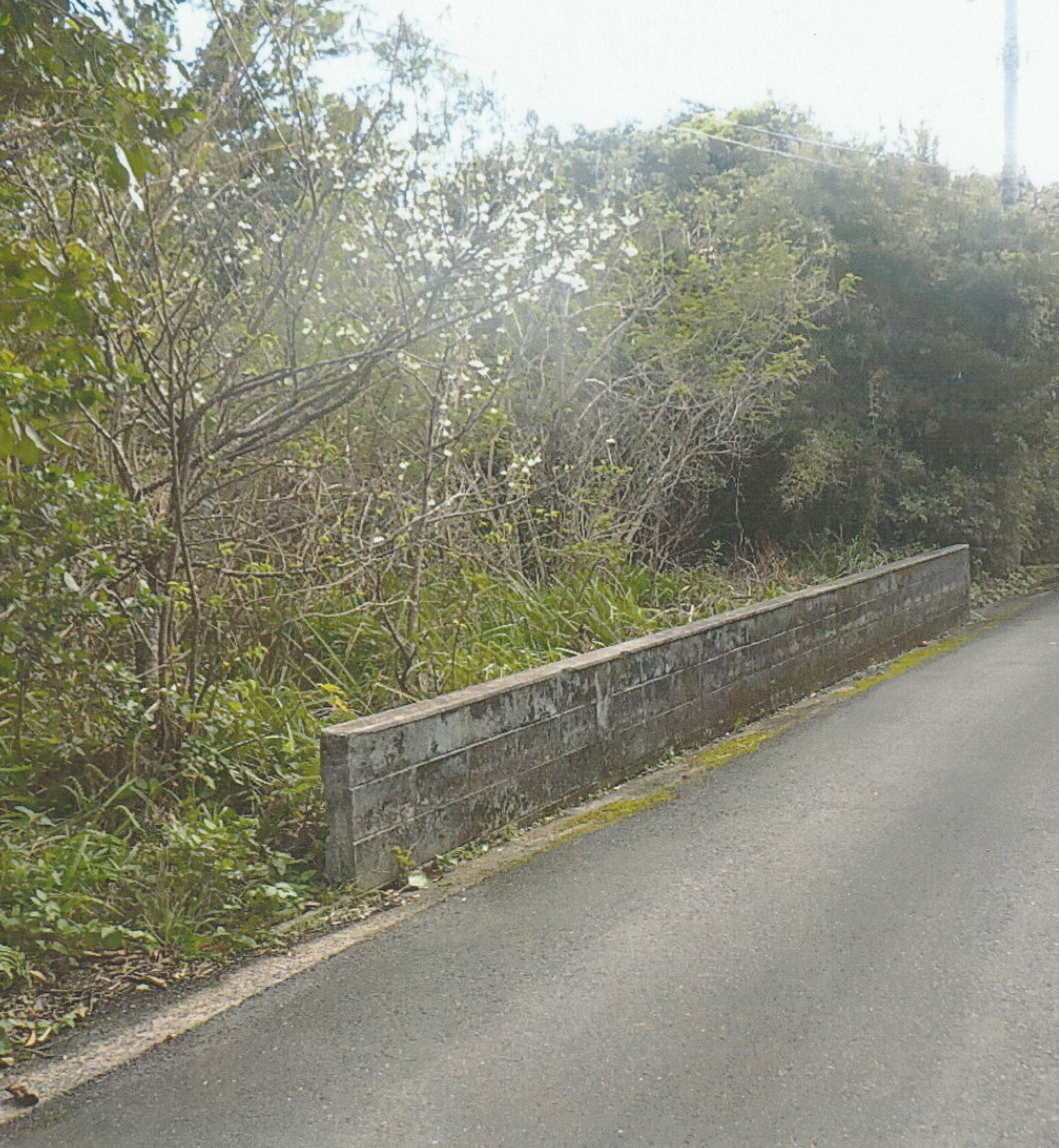 【売地】奄美市笠利町手花部中溝